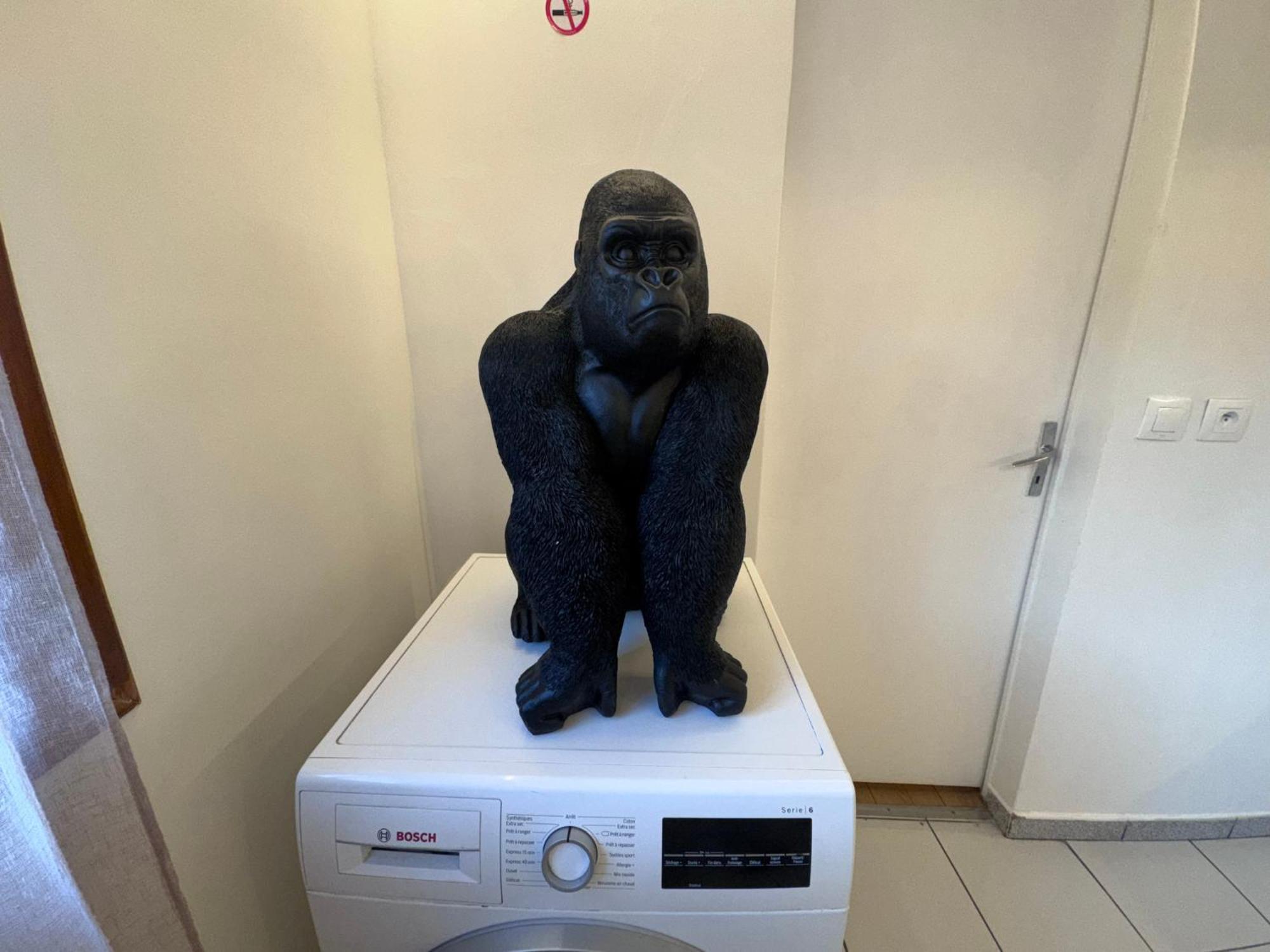 Apartamento F2 50m2 Paris Orly - Jacuzzi - Lumiere Variable